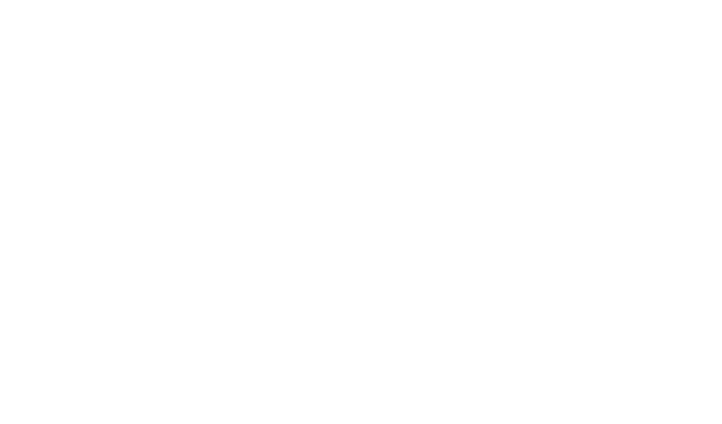 Precision Auto Spa