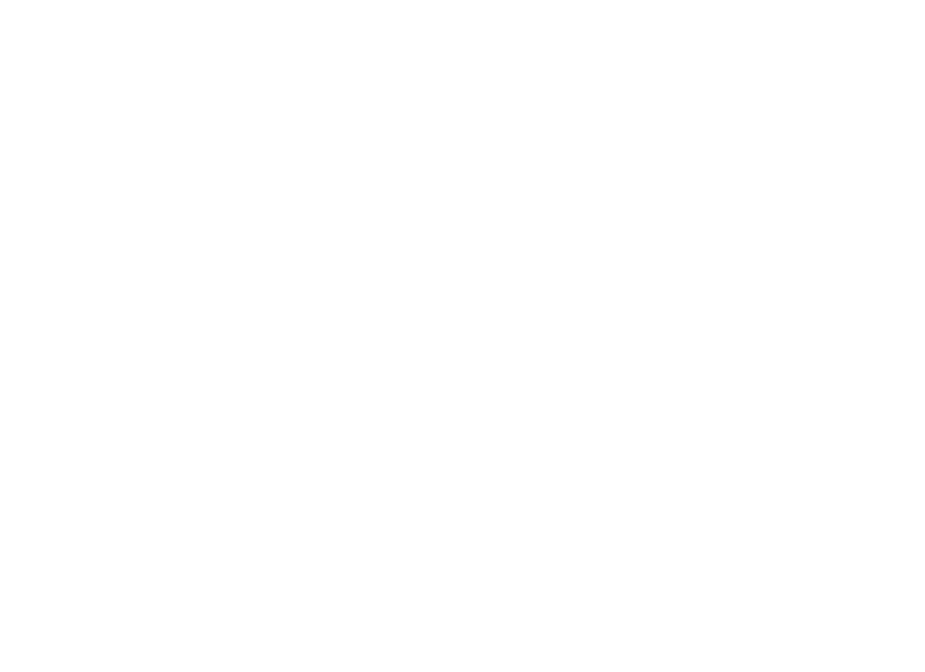 Precision Auto Spa